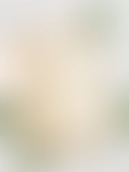 Os benefícios de manipular seu próprio shampoo