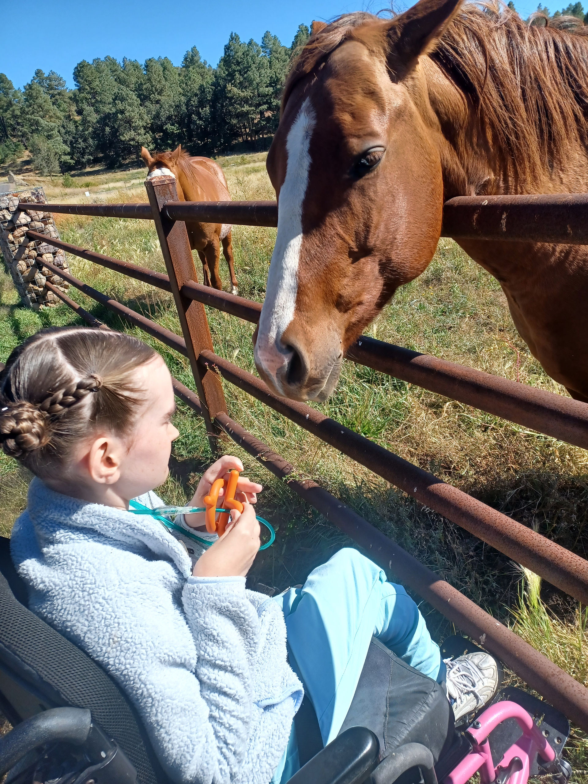 Lexington Services Show Low Adult Day Program members outing with horse