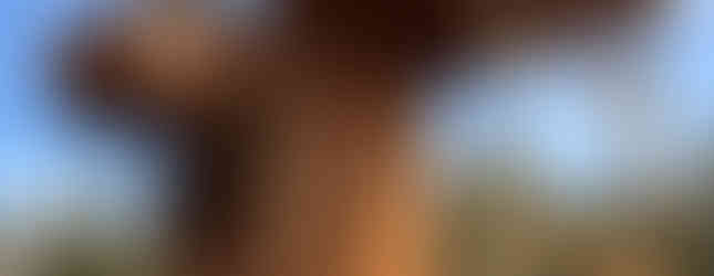 sunrise park resort outing mountain climbing zip line tower