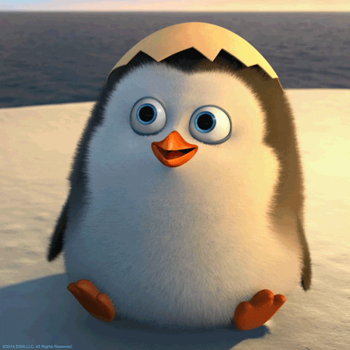 hola.gif