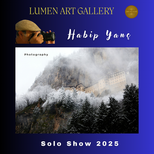 Habip Yanç - Solo Show