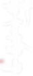 Tokoyo-logo-white.png