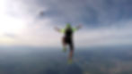 FreeFLY