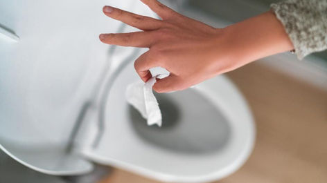 Can I flush wet wipes?
