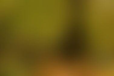 What it means to be in a safari for 3.5 hours.