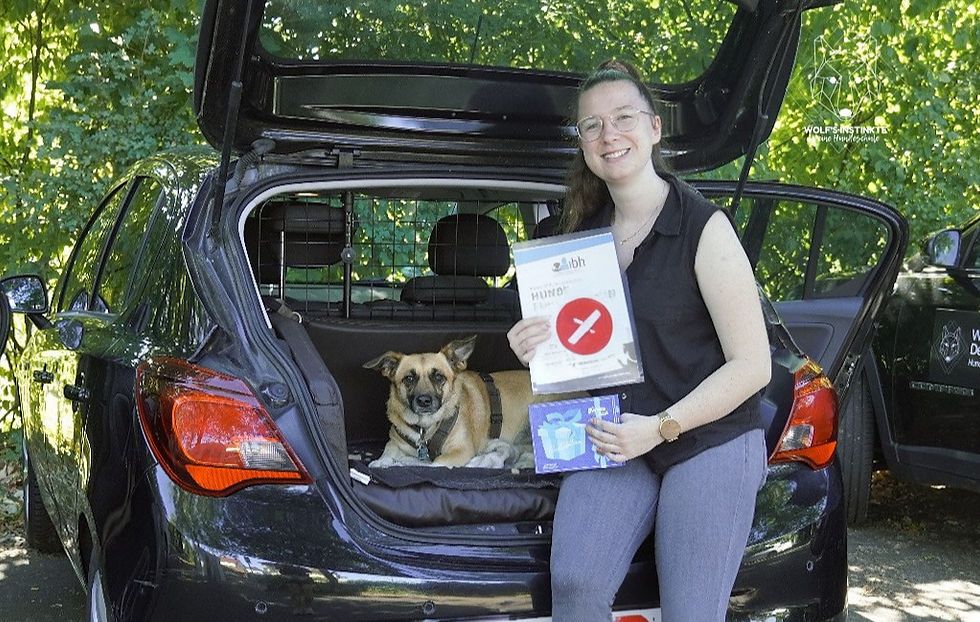 Warteliste Hundeführerschein nach IBH e.V.