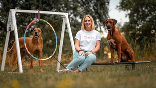 Wuff & Wissen: Hundeverhalten und Hundetraining 