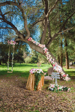 R&R Event Rentals - Bay Area Indian Wedding Decor - Backdrops & Draping, Table Linens, Centerpieces,