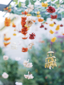 Colorful Pre-Wedding Decorations