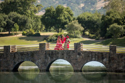 Indian Engagement Wedding Decorations in the Bay Area