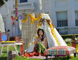 Colorful Pre-Wedding Decorations
