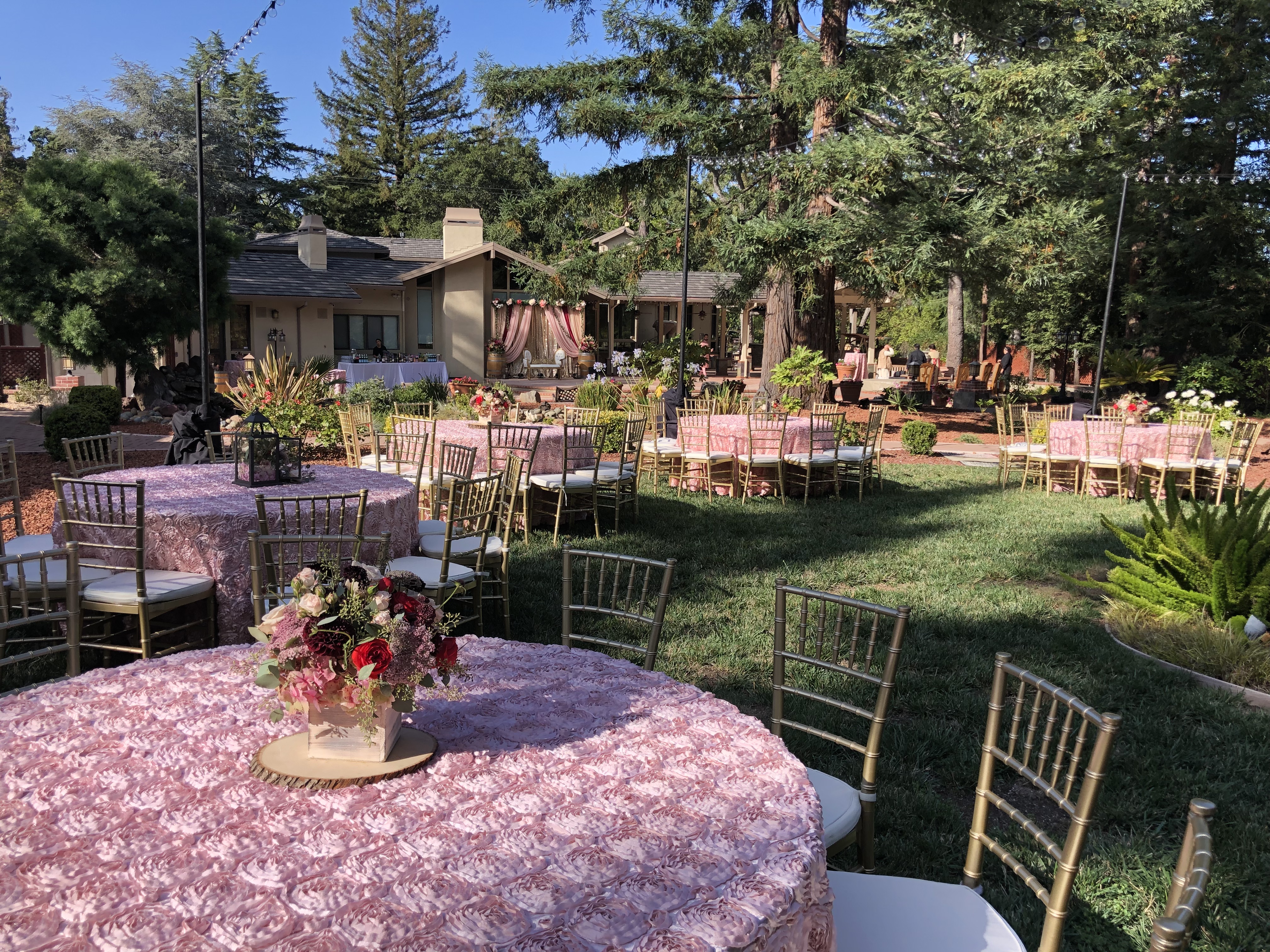 Engagement & Reception Backdrops