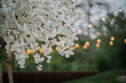 R&R Event Rentals - Bay Area Indian Wedding Decor - Backdrops & Draping, Indian Wedding Decorations,