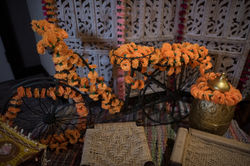 Mehndi & Sangeet Decorations - Bay Area