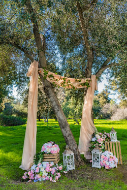 R&R Event Rentals - Bay Area Indian Wedding Decor - Backdrops & Draping, Table Linens, Centerpieces,
