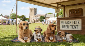 Fete Announcement (RE Dog Show):