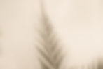 natural-and-abstract-shadow-details (1)-2.jpg