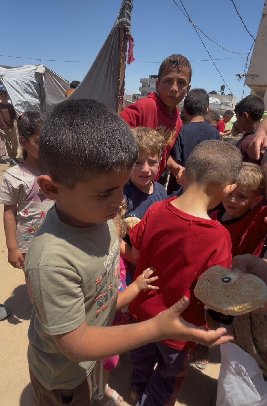 Fresh Food Assistance Brings Relief to Families in Gaza
