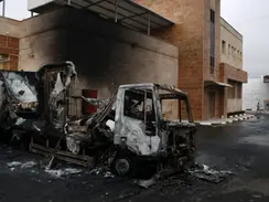 Settler Attacks Surge in Palestine During Olive Harvest