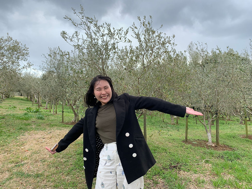 オリーブ園に寄り道