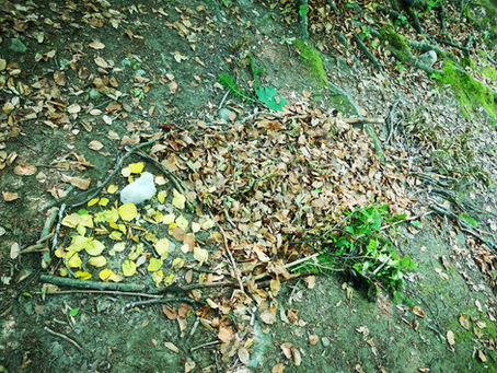 Land Art et Fête de la Nature