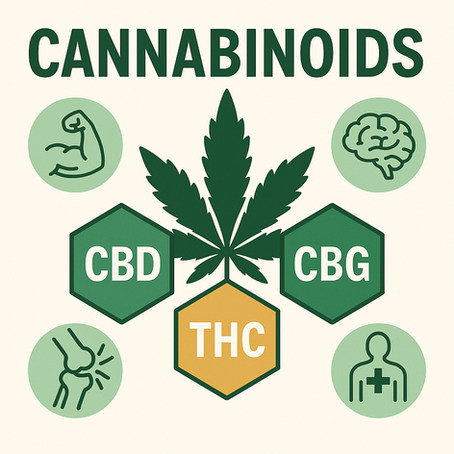 Illustration of various cannabinoids (CBD, THC, CBG) with health benefit icons like muscle recovery, brain health, and pain relief, designed for a health and fitness blog audience