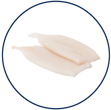 Squid-tubes--e1611614766340.png