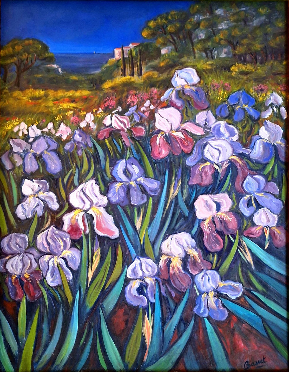 Iris