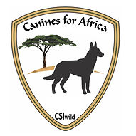 K94A-CSIwild logo.jpg