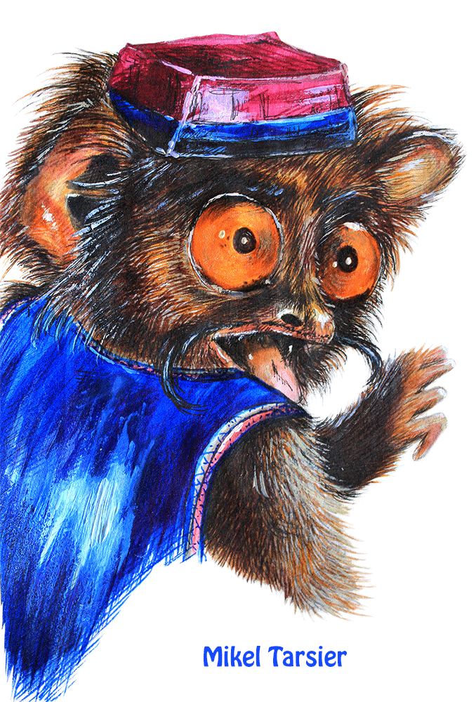 Mikel-Tarsier.gif