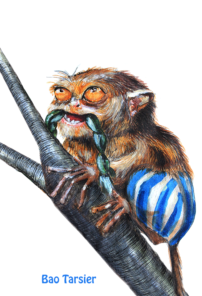 Bao-Tarsier.gif