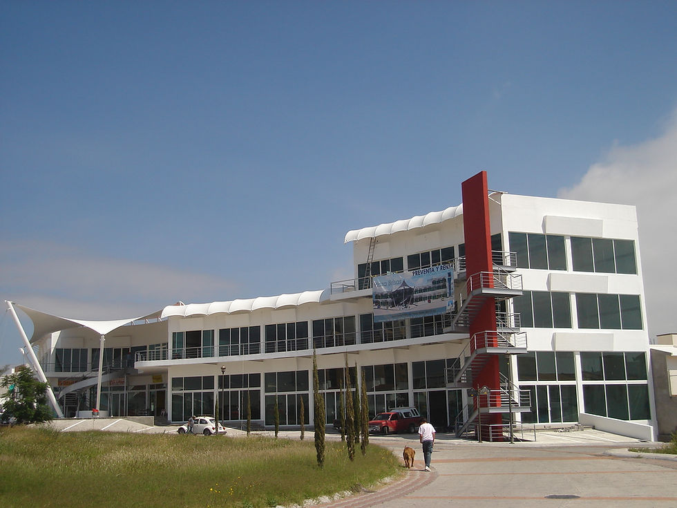 locales comerciales 2
