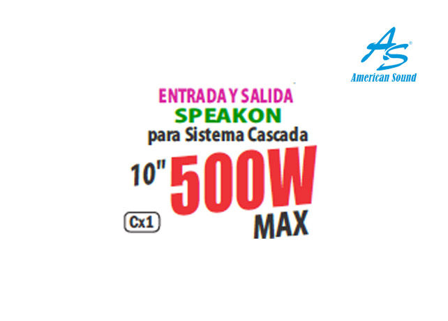 Miniatura: ASP-103 - Cabina Pasiva Profesional 10" 500WMax