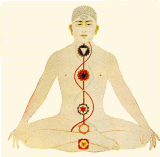 Hatha yoga image.gif