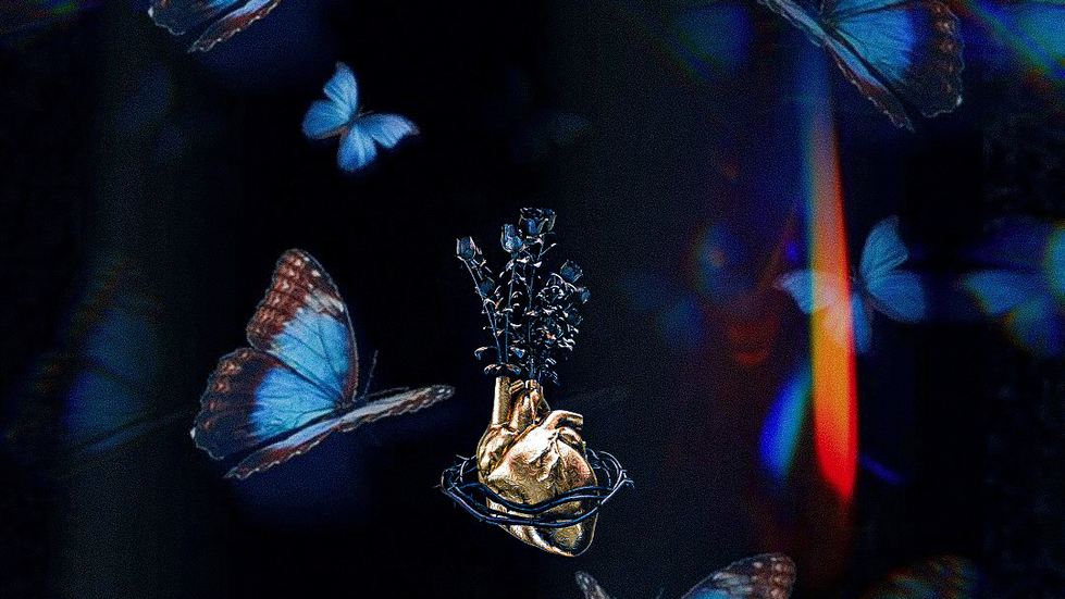 Butterflies