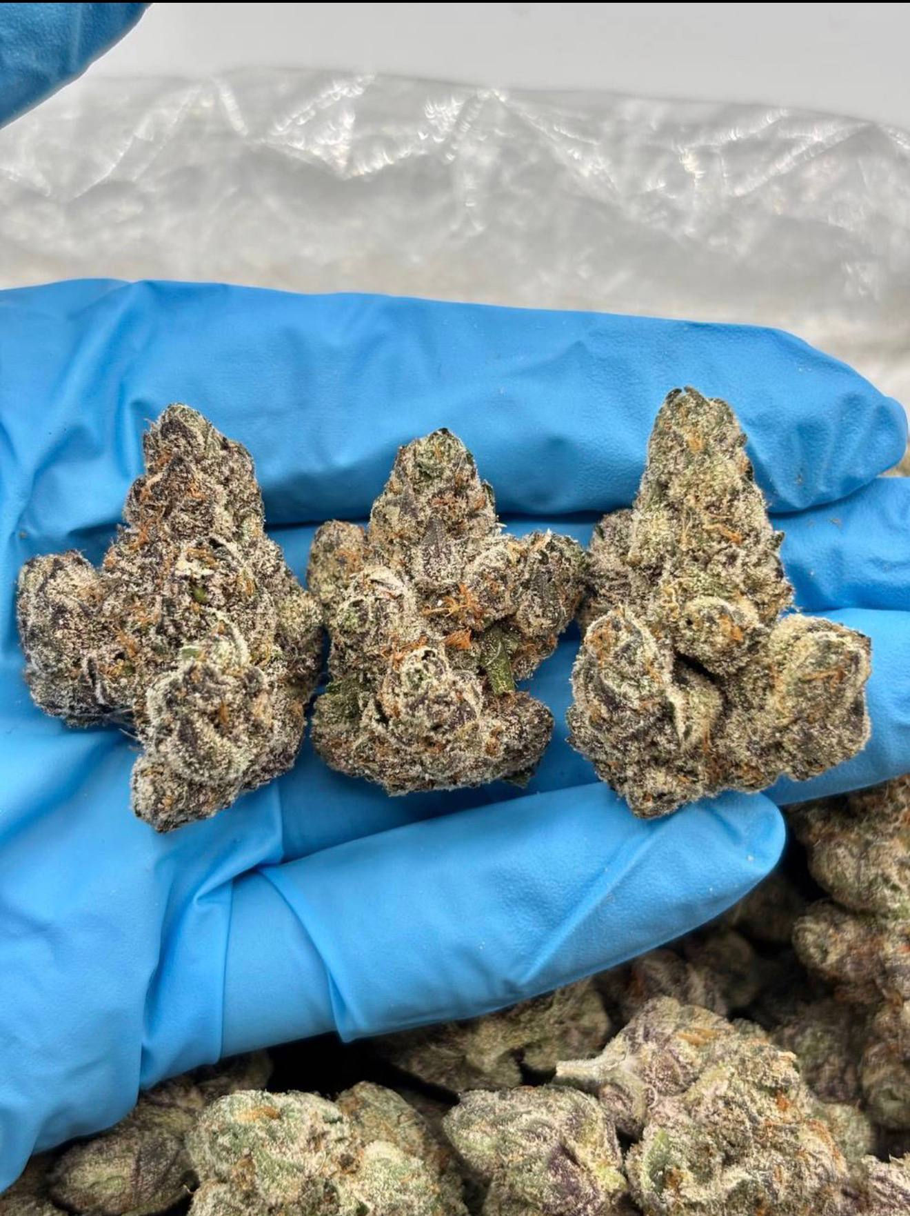 WHITE CHERRY SUNRISE -WBE413WC