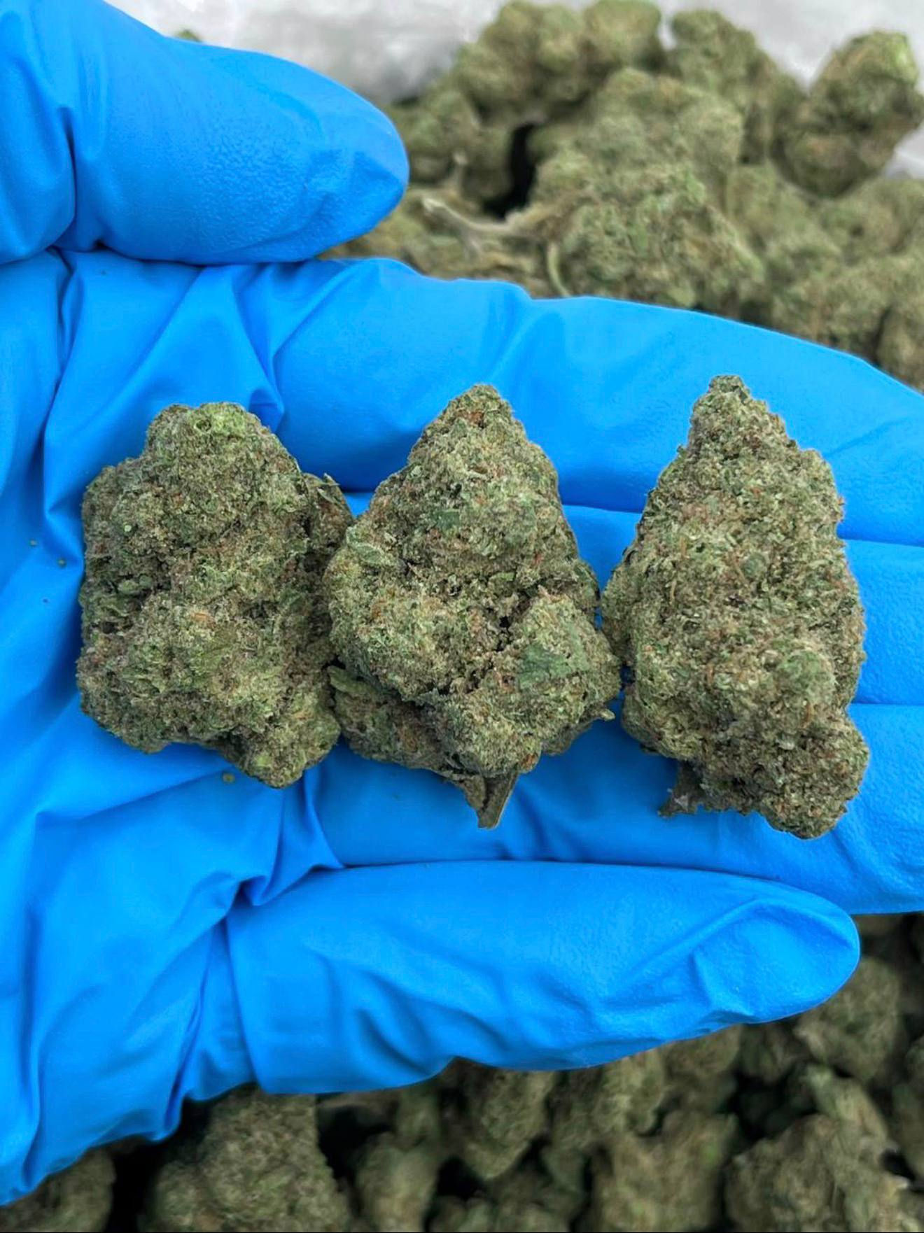 SWEET POPZ - TY120SP