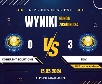 ALPS Business - szablon pod wyniki (1).jpg