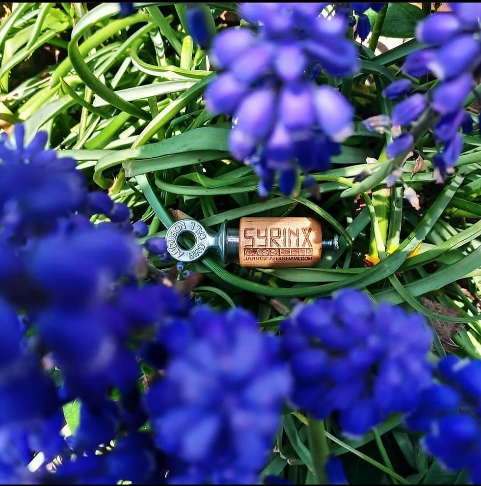 Thumbnail: SYRINX-DELUXE Bird-call 