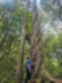 Messenger_creation_19F5823C-D65E-4434-91B0-99130C97E80C.jpeg