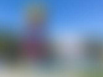 Legoland California Tips