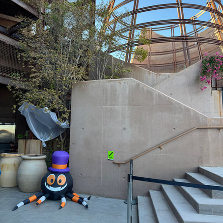 Top Fun Things to Do in Las Vegas This Fall and Halloween (2025 Edition)