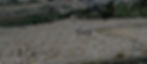 Jewish Cemetery Mount of Olives Jerusalem