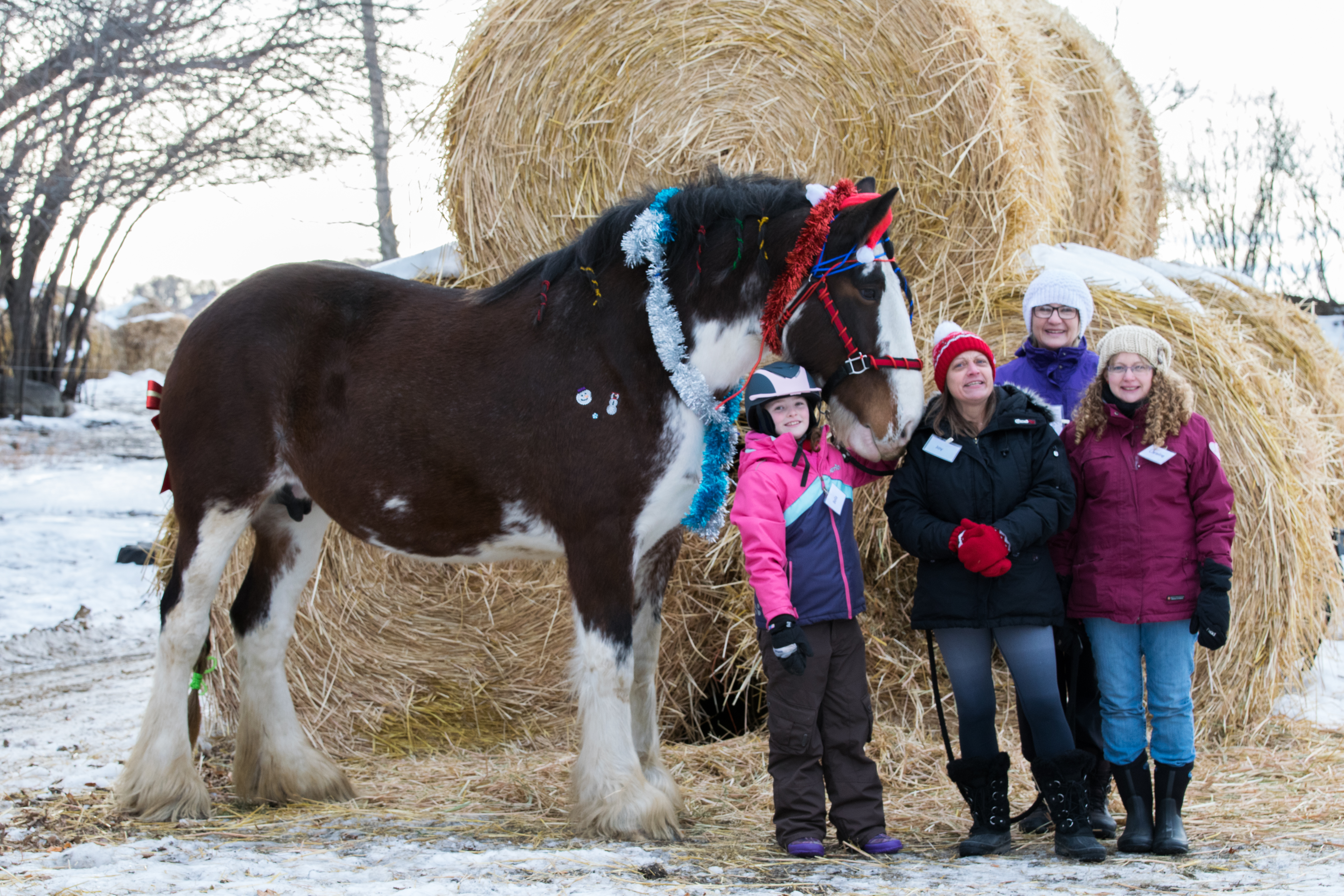Christmas fun day-182
