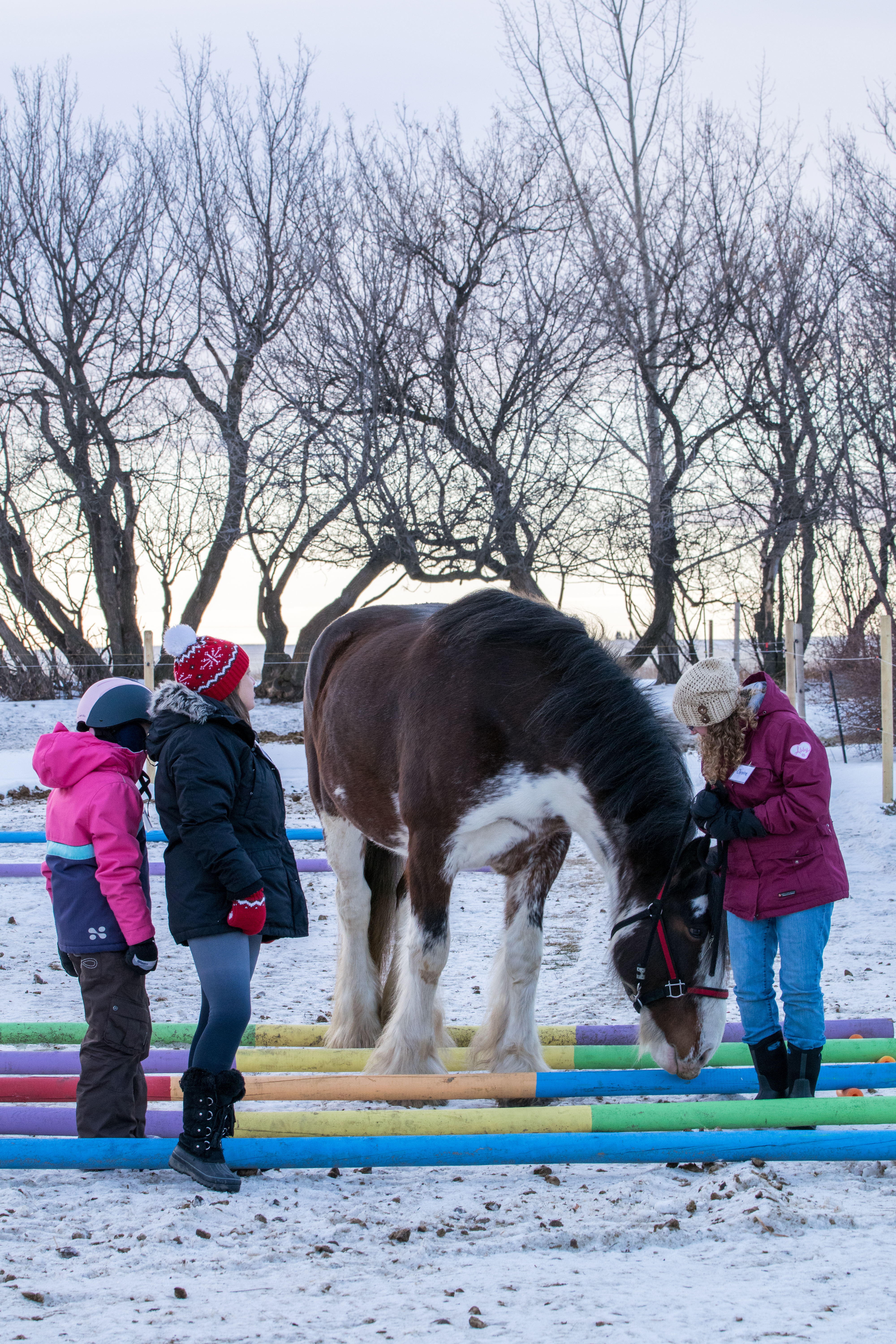 Christmas fun day-8