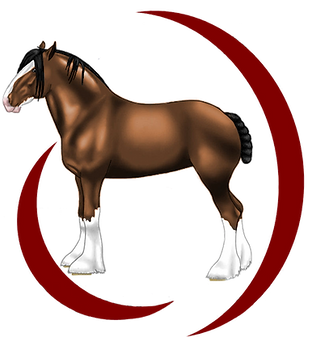Nickweb Clydesdale Stud