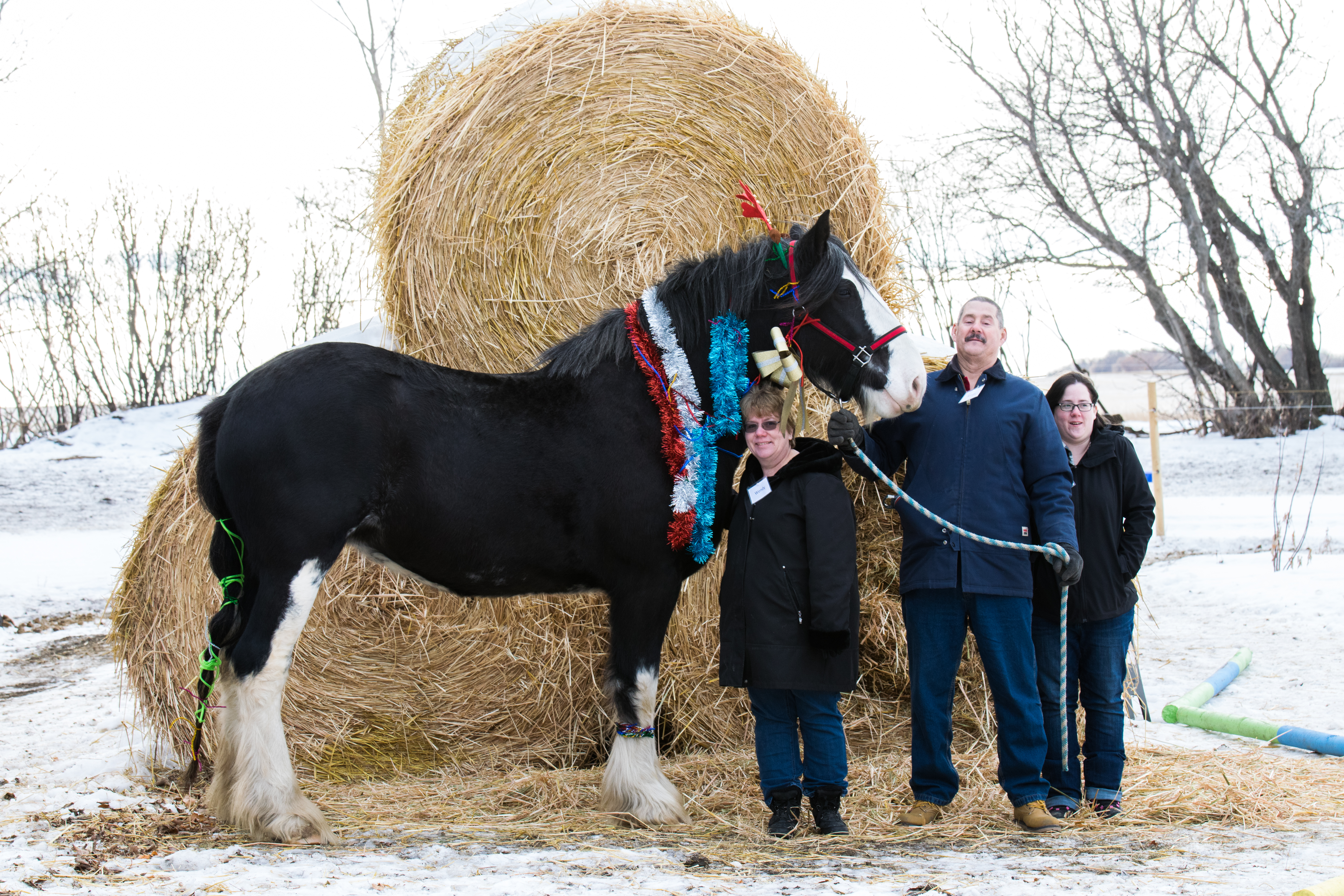 Christmas fun day-133