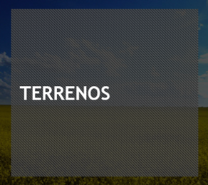terrenos_gray.png