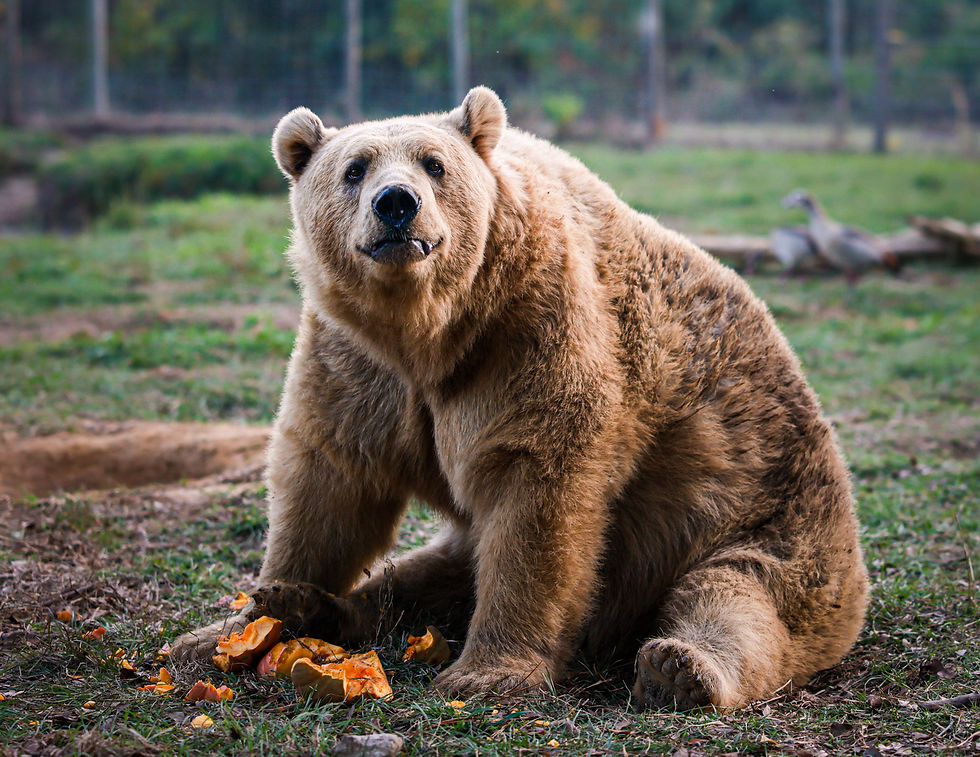 Treasures Homeschool Field Trip!