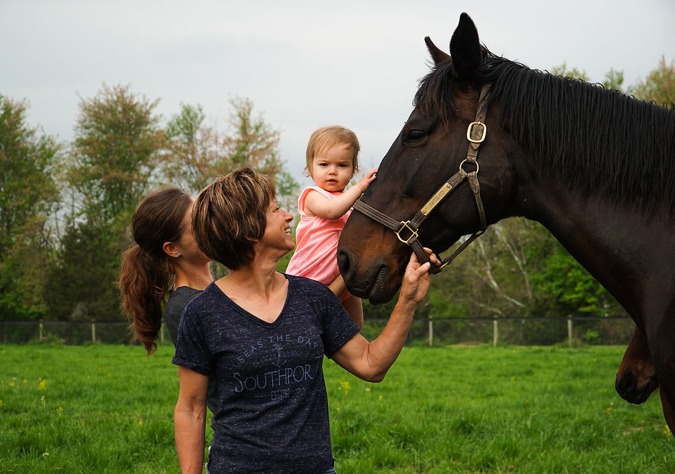 Breakway Farm in Dillsboro, Indiana. Treasure of the Midwest